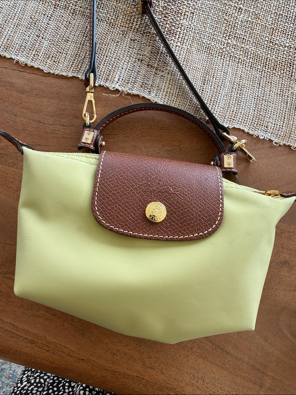 Longchamp Crossbody Bag in Light Green with Brown Trim and Gold Hardware